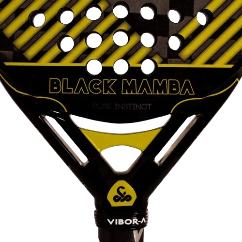 Corazón de la pala de pádel