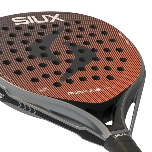 Corazón de la pala de pádel