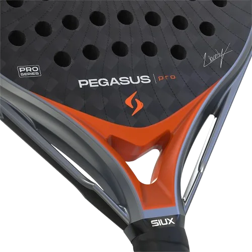 Corazón de la pala de pádel