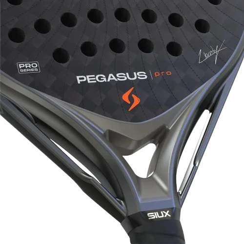 Corazón de la pala de pádel