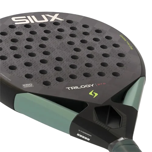 Corazón de la pala de pádel